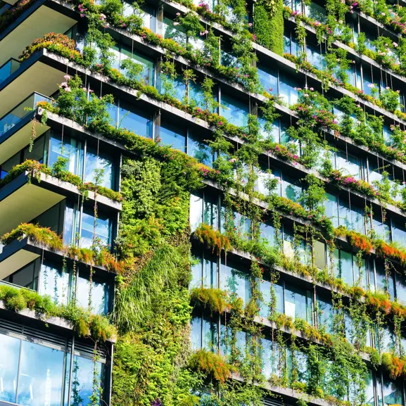 Hus med gröna växter på fasaden.