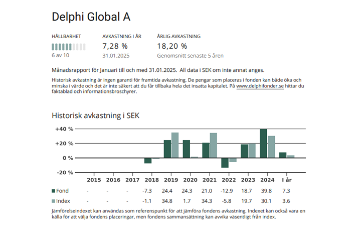 Delphi Global artikel_avk_.png